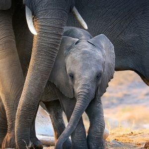 Meet your Posher, Kay